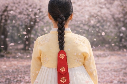 Daenggi (댕기)