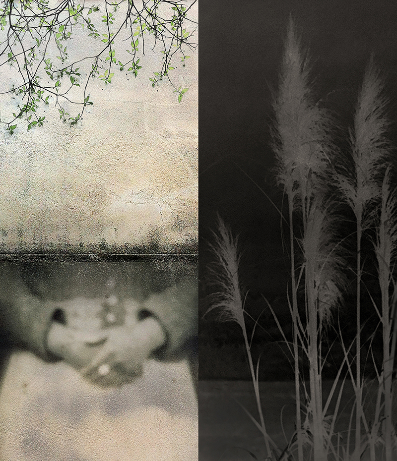함수민 Song of “Scent in the Wind” from “Windows” series 20” x 16”, archival pigment print on Hanji (Korean mulberry paper), 2017, 2018